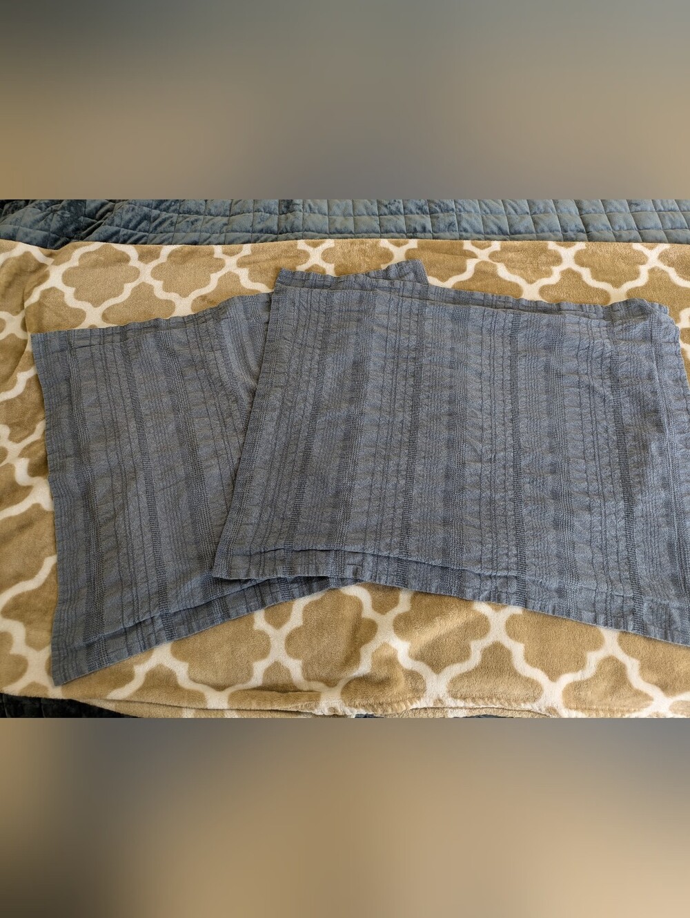 Pottery Barn Blue Decorative Pillow Shams - Set of 2